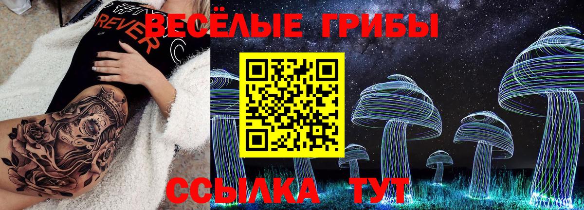 Хасавюрт  наркота  Вход с VPN  Галлюциногенные грибы прущие грибы 